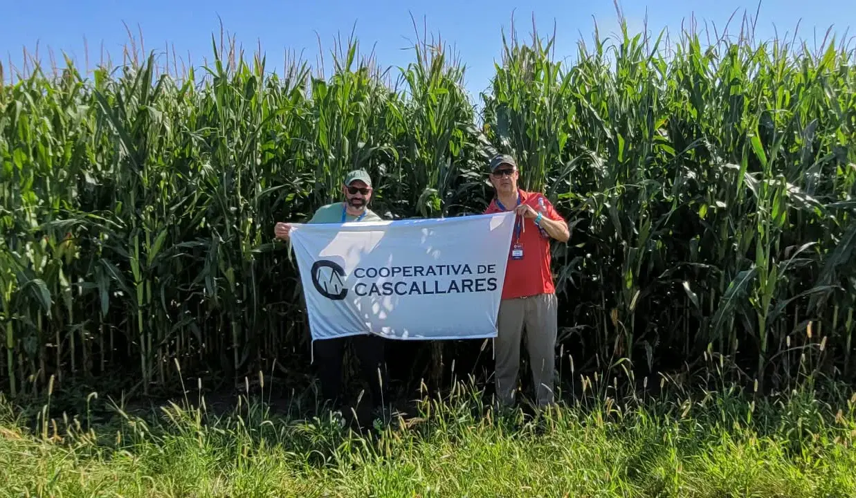 Roberto Barragán y Nicolás Vaccani, colaboradores de la Cooperativa de Cascallares, en un lote de maíz en Iowa
