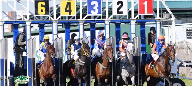 Miércoles 22: Actividad Hipódromo de San Isidro
