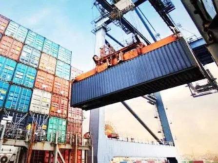 El Gobierno simplificó el procedimiento para la Declaración de Origen en el Mercosur