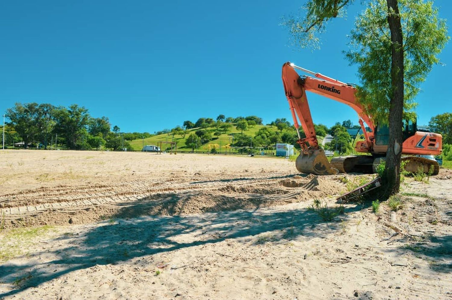 Controvertido fallo sobre la Playa Alta y su forestación