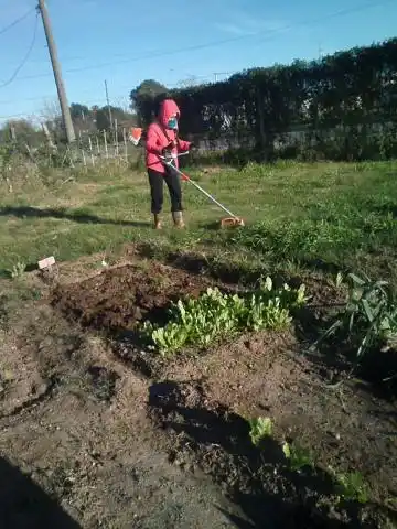 El Programa de Huertas Comunitarias continúa su etapa de cosecha
