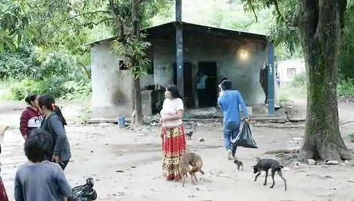 Indígenas ya utilizan miel y  �Syuyos⬝ del monte para  afrontar el COVID-19
