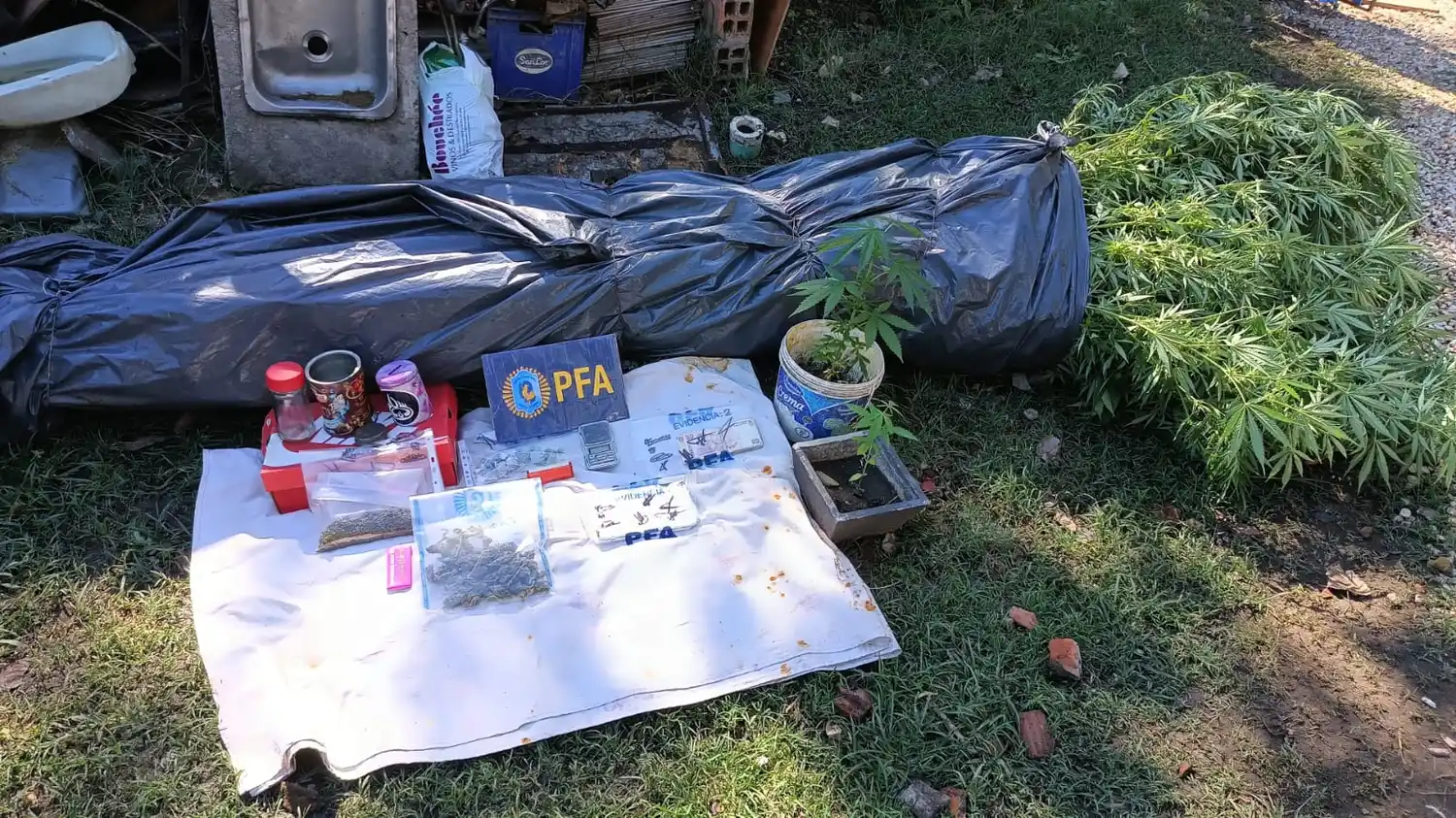 Allanamientos policía Federal.