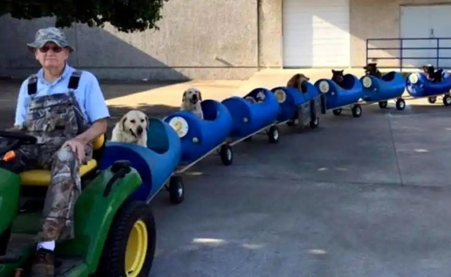 Video: construyó un trencito para pasear perros abandonados