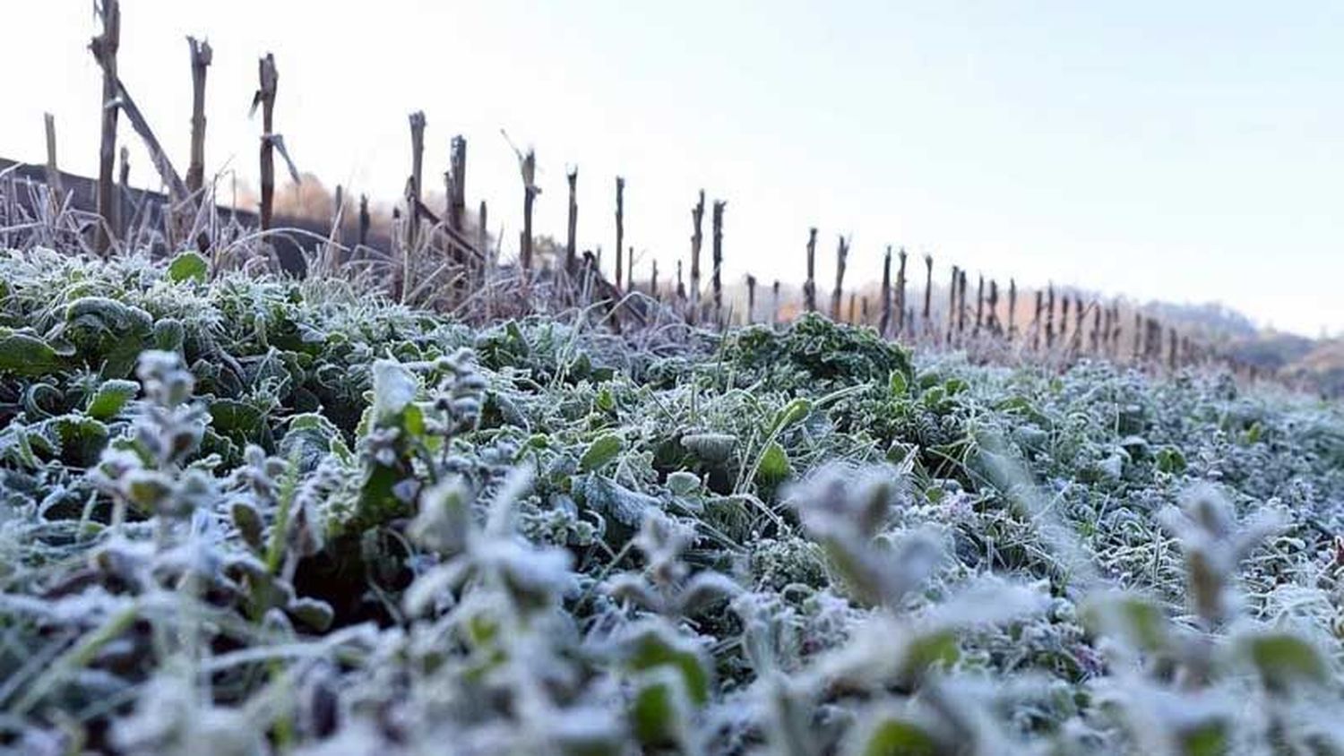 Pocas lluvias y temperaturas bajas para los próximos meses en la Provincia