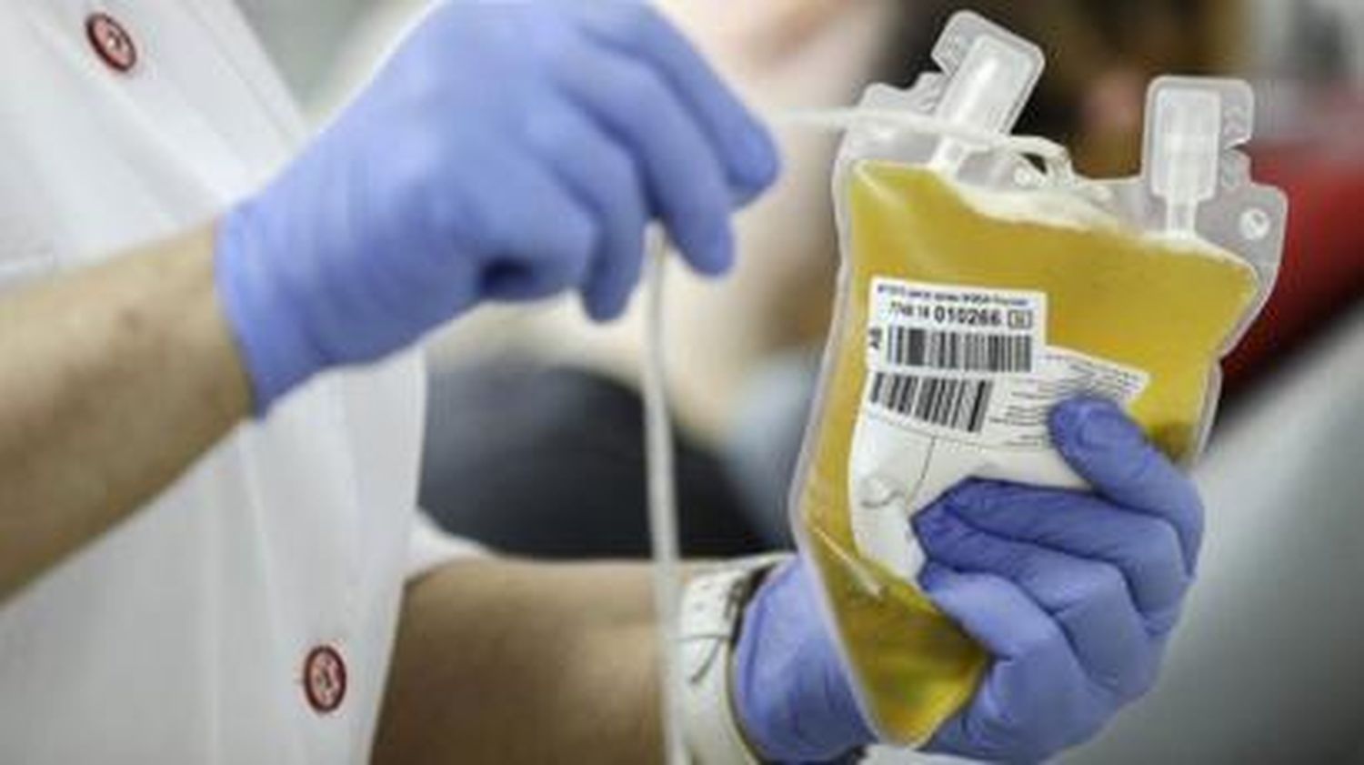 Coronavirus: Ituzaingó realiza colecta de plasma