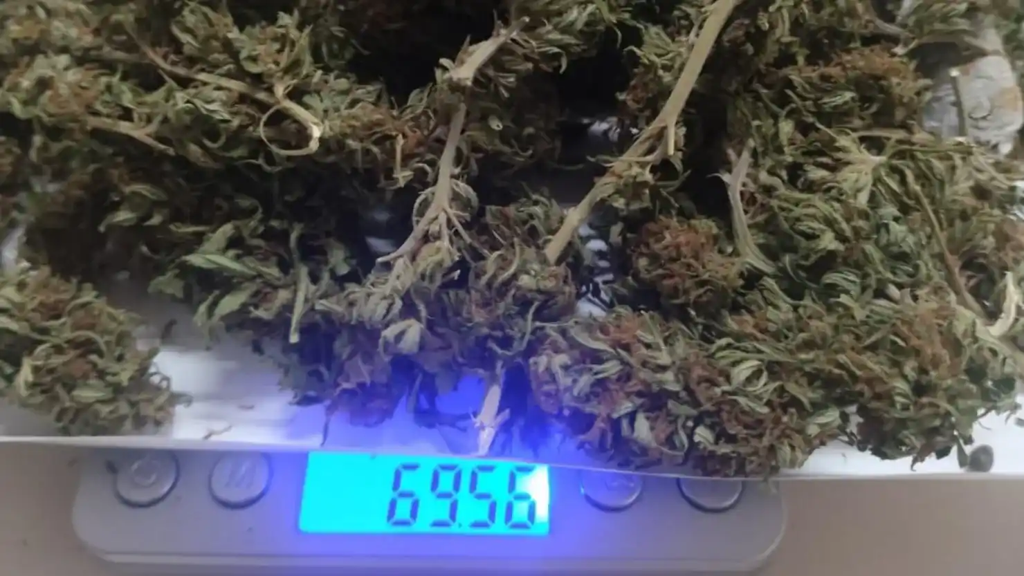 La droga encontrada