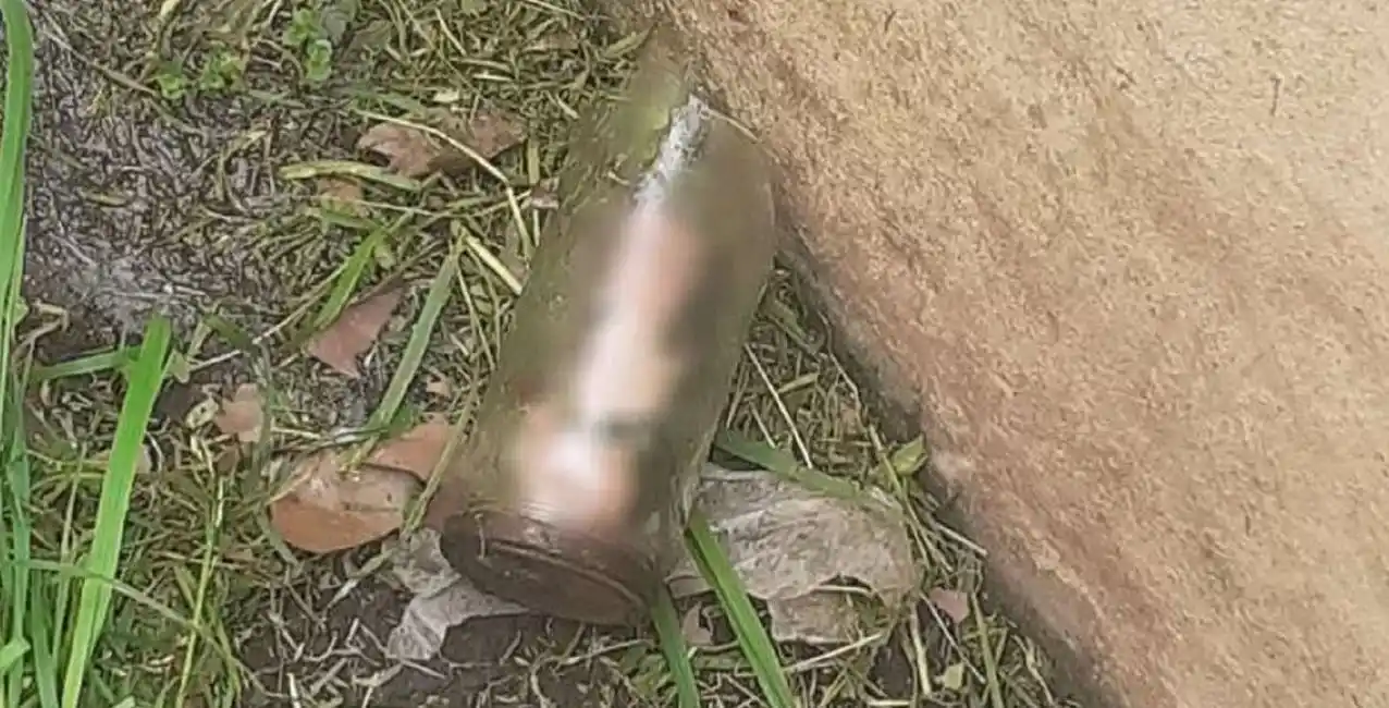 Macabro hallazgo: encontró un pene adentro de un frasco cuando cortaba el pasto