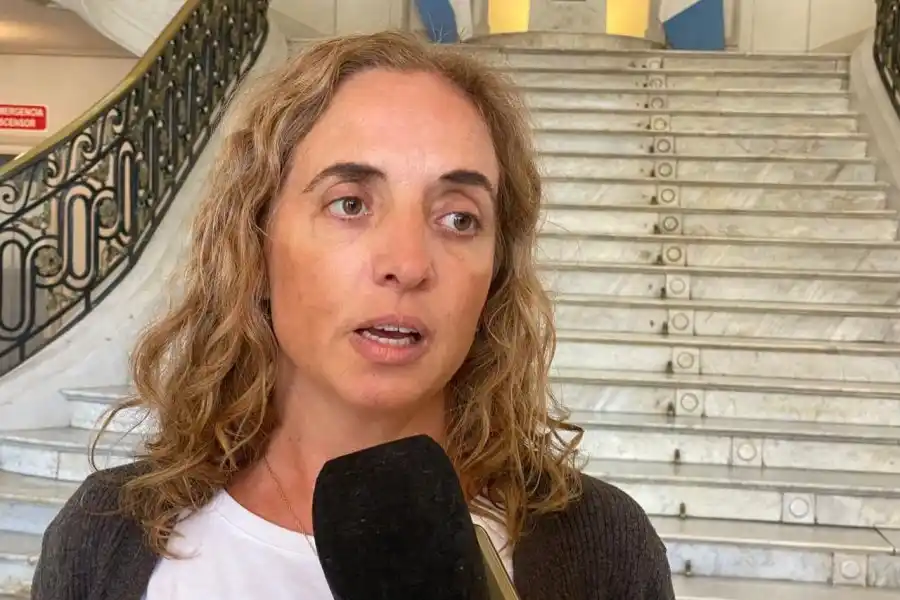 Directora provincial de Epidemiología, Carolina Cudós