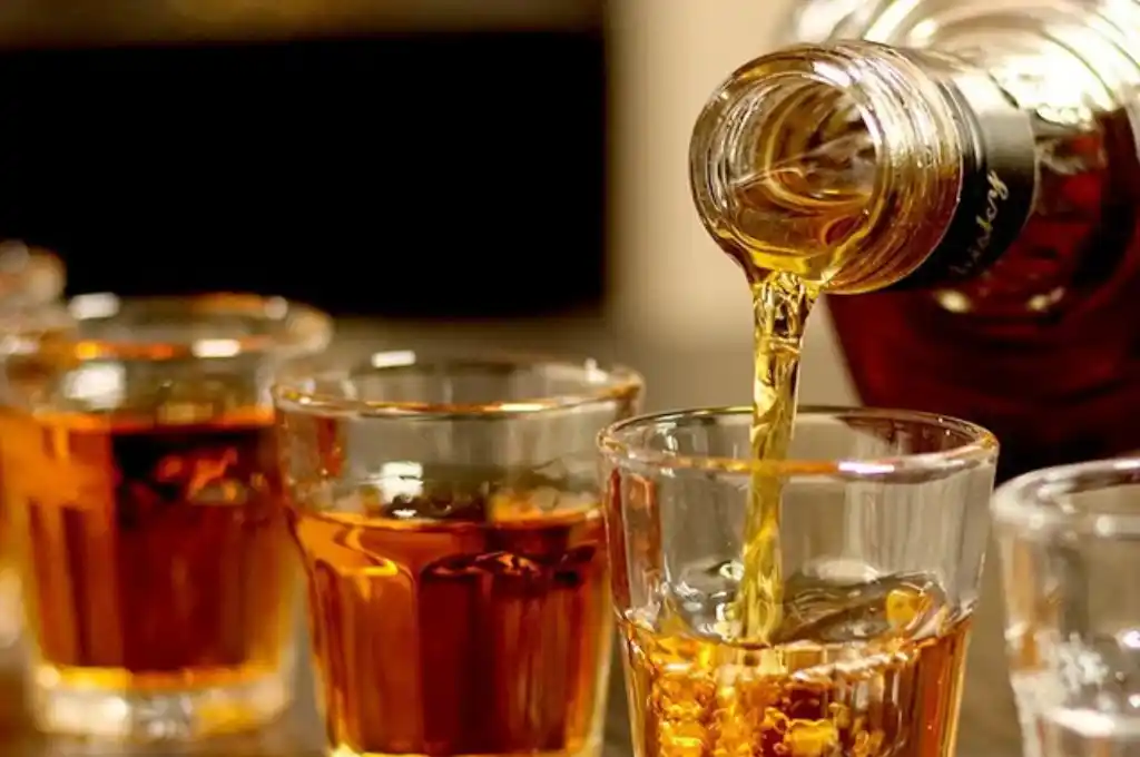 Además, afirmó que tanto el bebedor como el vendedor tendrían que tener una licencia.