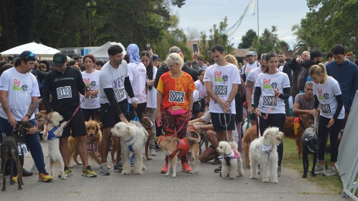pet run 2024