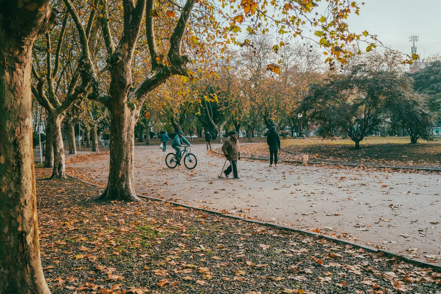 La temperatura ascenderá hoy a los 19° según el SMN.