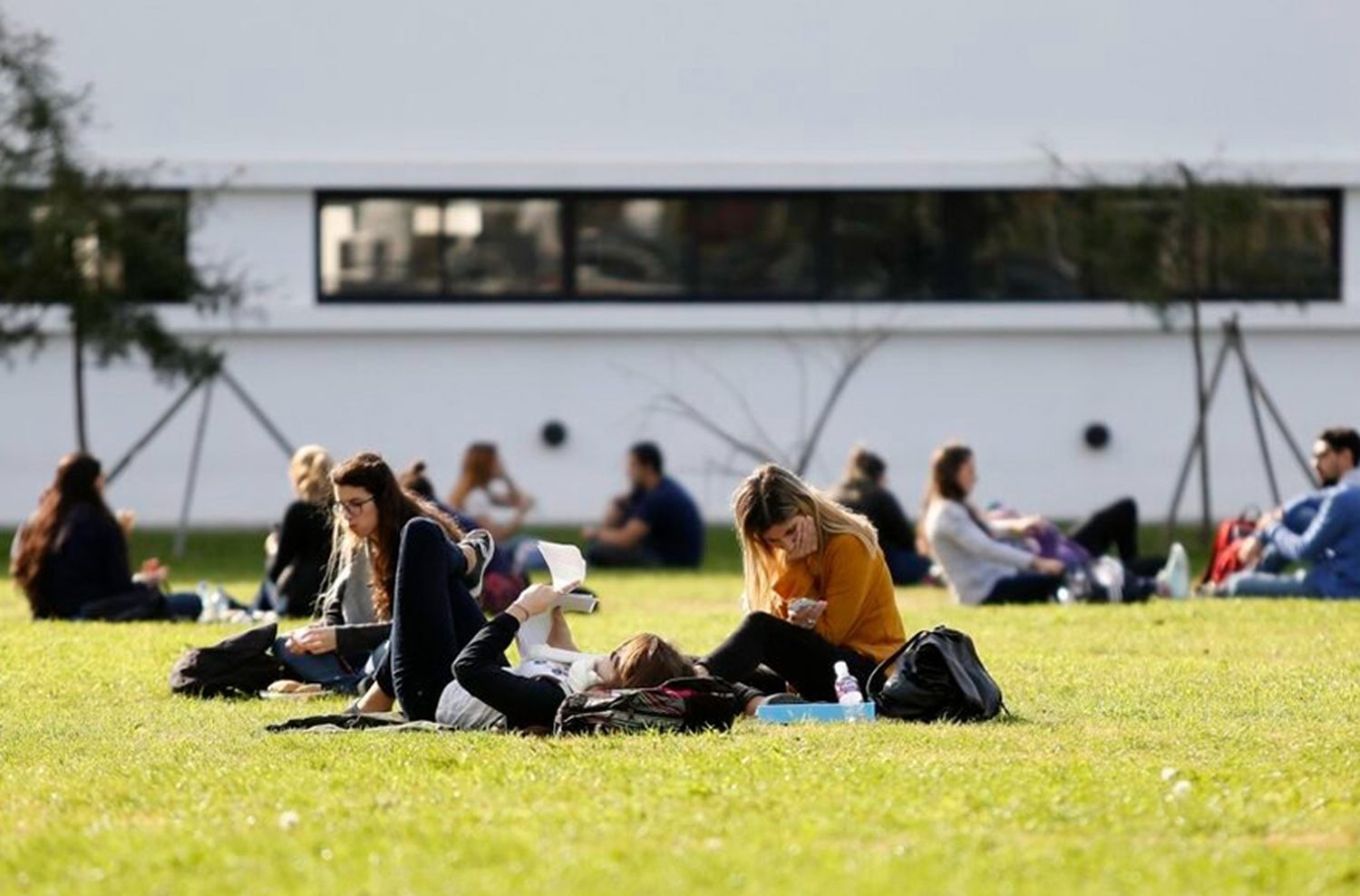 Avanza la creación de tres universidades nacionales, dos de ellas en suelo bonaerense