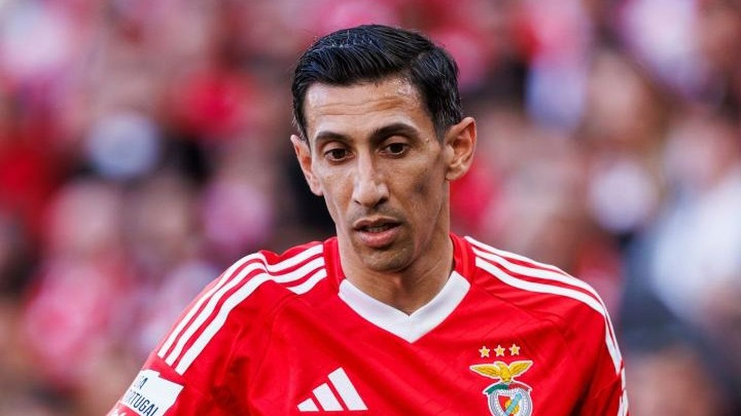 Ángel Di María no seguirá en Benfica y podría volver a Rosario Central