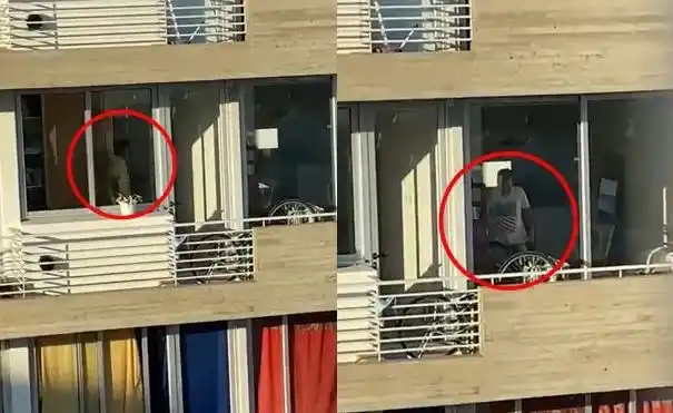 Filmaron a un ladrón mientras robaba en un departamento