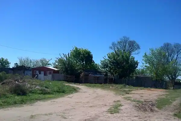 Un nene de cuatro años fue mordido en la cara por un caballo 