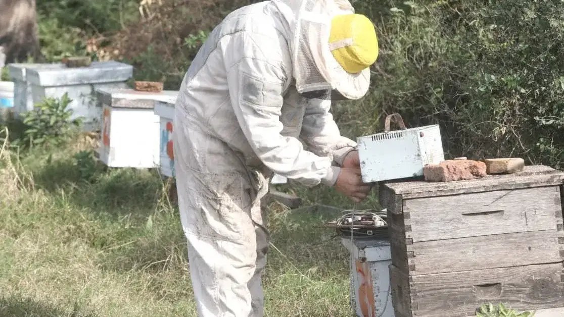 Pullaro entregó 24 viviendas en Suardi y destacó la inversión provincial en obra pública - 2