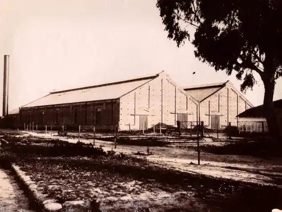 El principio del fin: La reducción de las actividades económicas y comerciales en Puerto Ruiz (1943-1952)