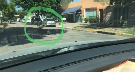 Reporte ciudadano