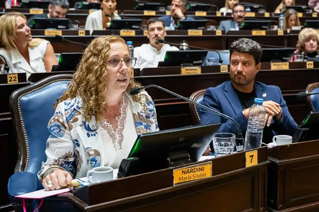 Tras el triunfo, otra legisladora bonaerense cruzó al Gobierno por su mensaje de Malvinas previo al duelo con Inglaterra