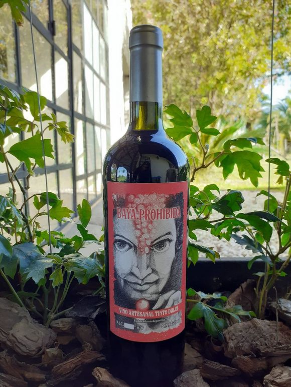 Todo sobre el vino: Una bodega en Las Flores para visitar, aprender y degustar
