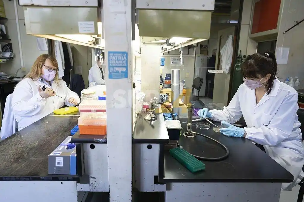 Coronavirus: informan 4.318 nuevos contagios en el país y 218 en Santa Fe