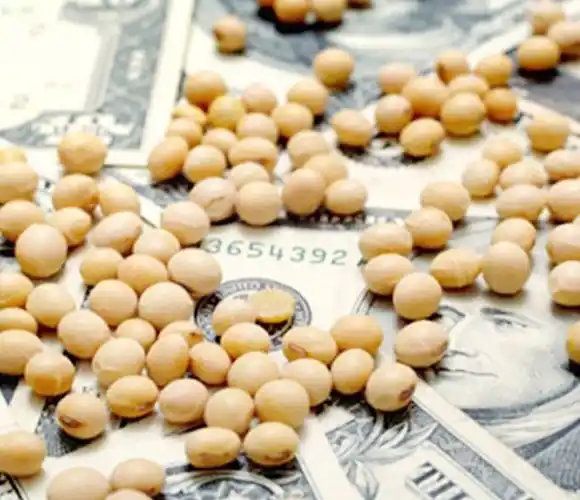 El nuevo dólar soja no conlleva ventajas a los productores y afecta a otras actividades
