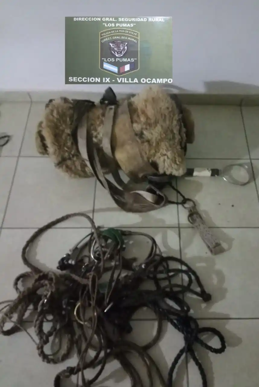 Villa Ocampo: Personal de la Guardia Rural “Los Pumas” esclareció un caso de Abigeato.- - 6