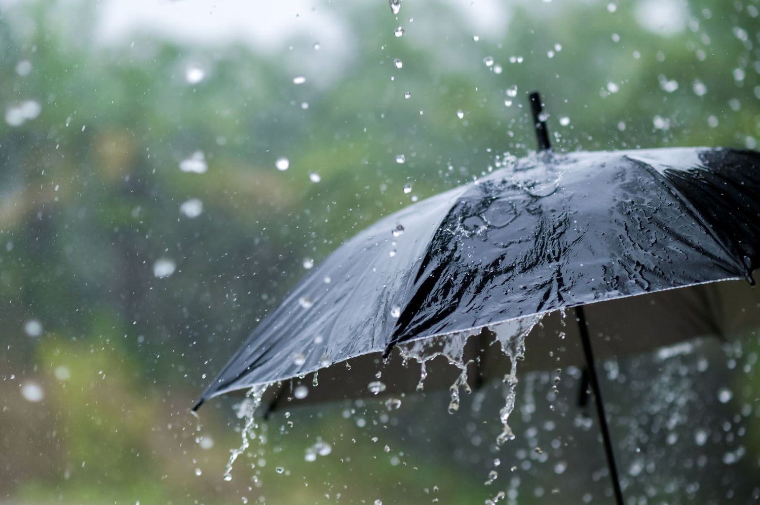 La lluvia desbordó un arroyo y se inundaron casas en una localidad entrerriana