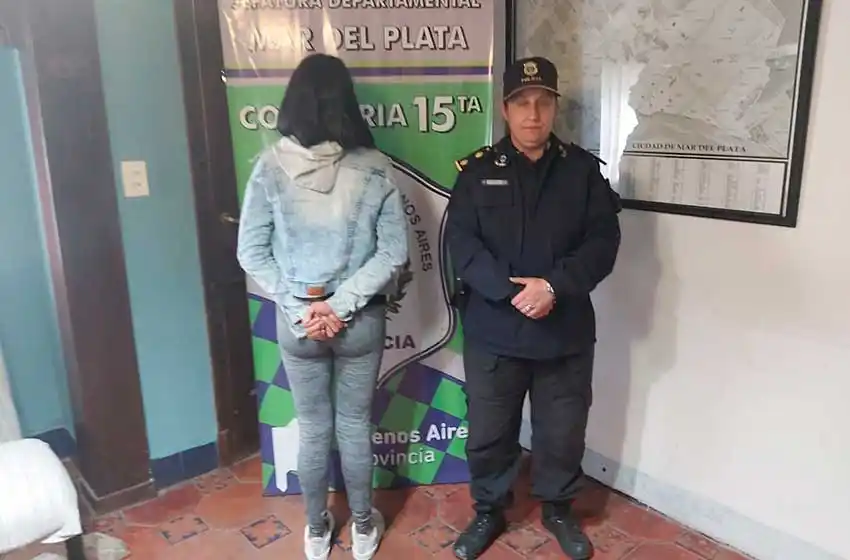 Detienen a una mujer acusada de vender por internet electrodomésticos robados