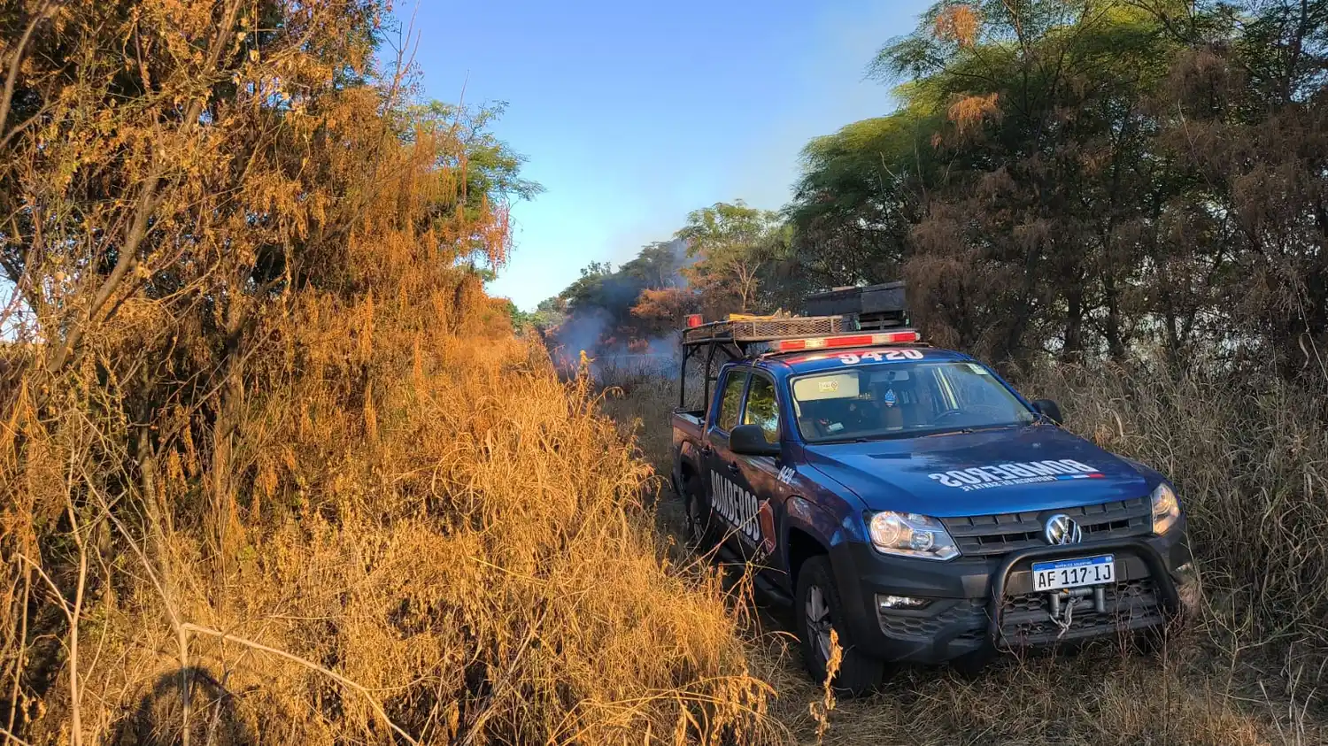 Grave incendio en un monte en zona rural: los Bomberos Zapadores y Voluntarios trabajaron horas para sofocarlo - 2