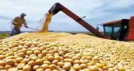 El gobierno de Córdoba pidió "eliminar las retenciones a la soja"