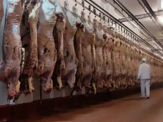 Desde el Gobierno de EE.UU. deslizaron que el país podría dejar de comprar carne a la Argentina