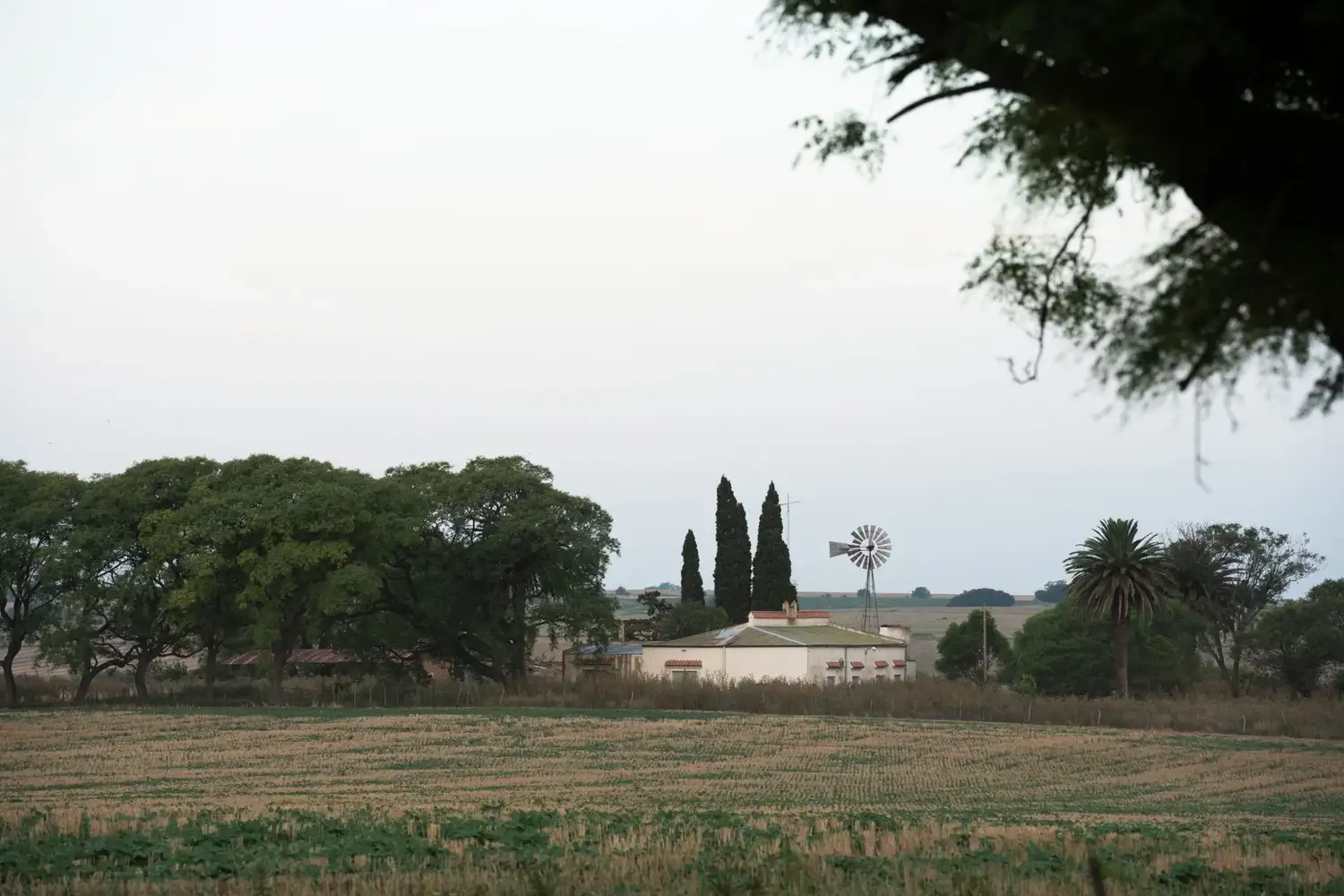 Relevaron 153 establecimientos para potenciar el turismo rural en Entre Ríos