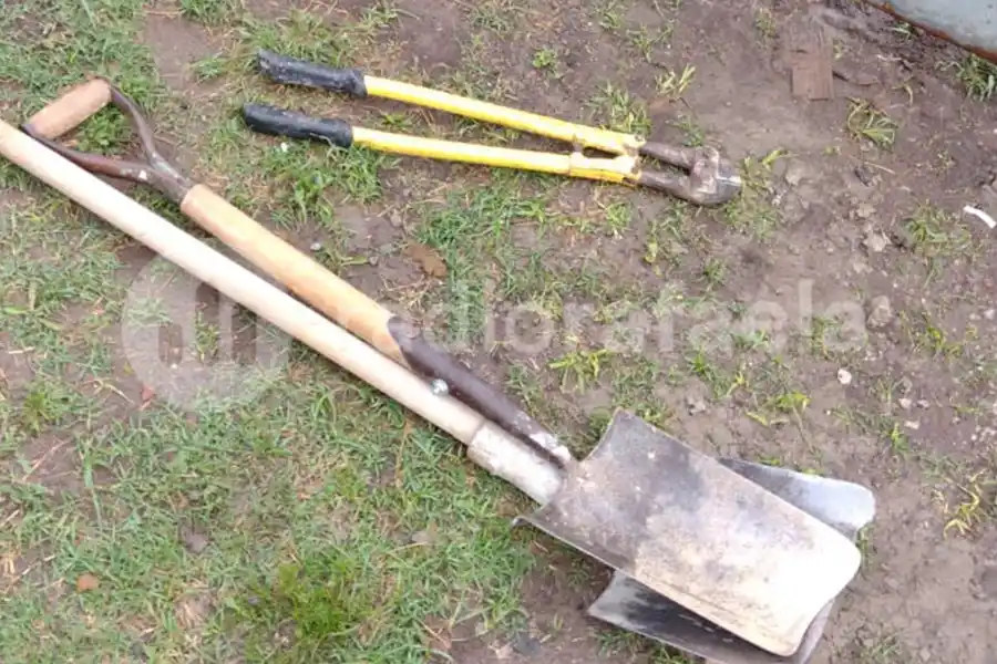 Agarró la pala pero no justamente para trabajar