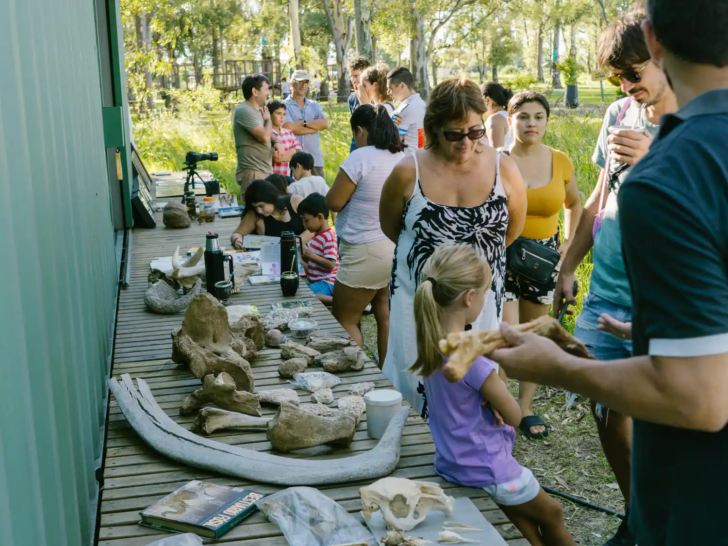 Minuanes: Exitosa exposición de fósiles y entomología