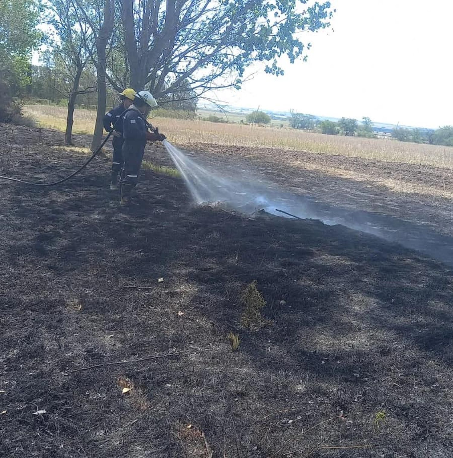 Bomberos sofocaron dos nuievos incendios de pastizales