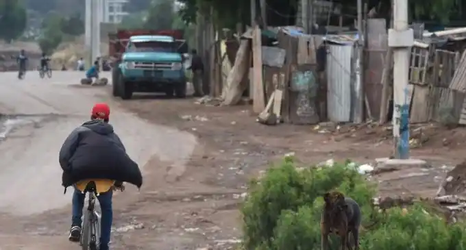 Mendoza: un mujer murió aplastada por un árbol
