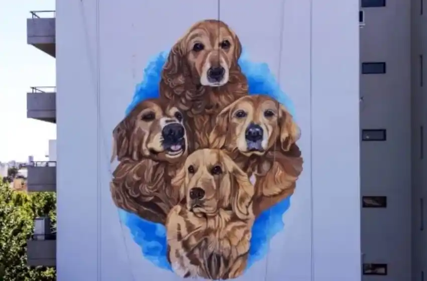 «Tres muy Golden», los perritos de Instagram, en un mural que inspira