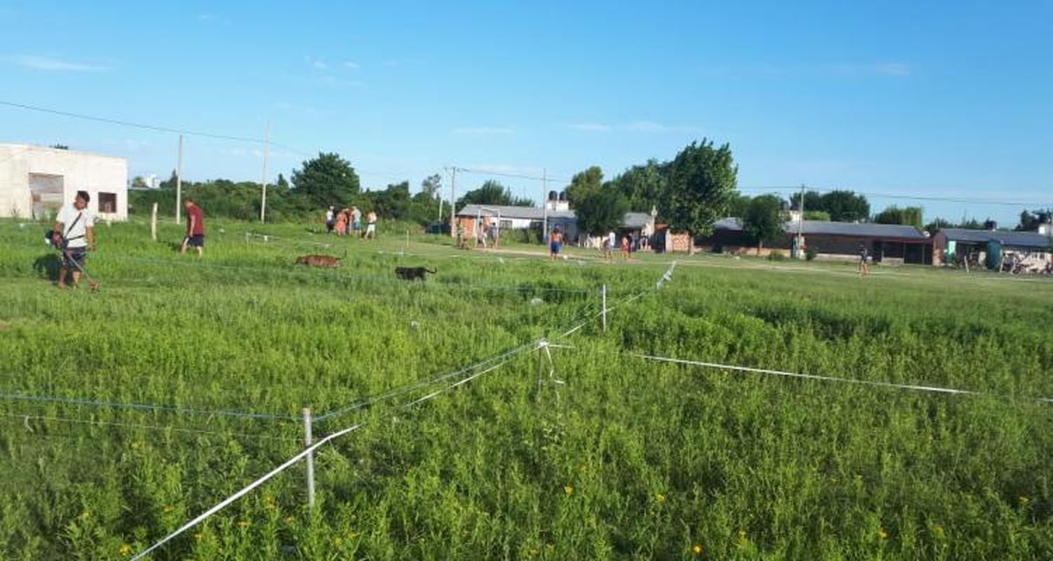 Quinta usurpación en una semana: 10 familias tomaron un terreno en el barrio 291 viviendas