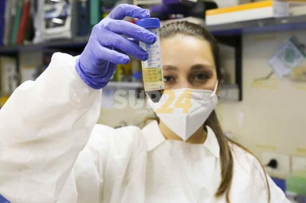 Estudio afirma que la respuesta inmune de las vacunas anticovid que se aplican en Argentina es potente