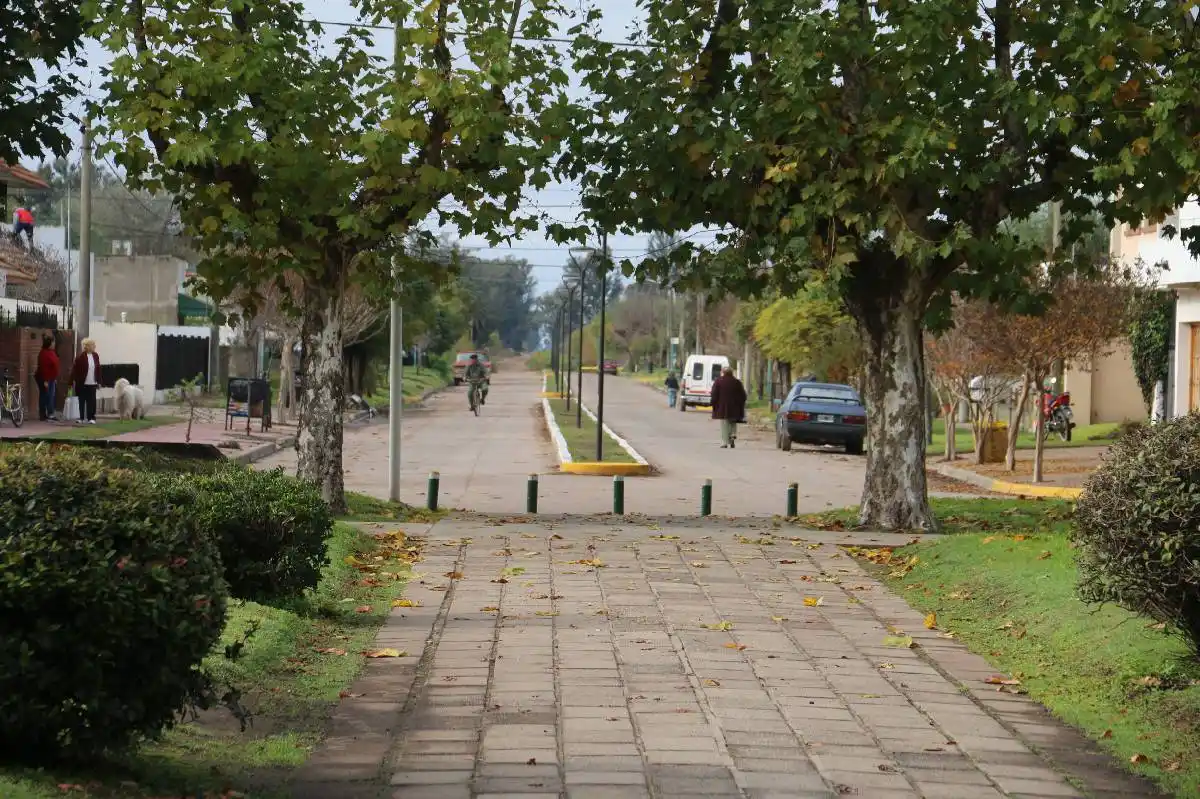 Nuevo foco de gripe aviar en la Provincia: detectan un caso en una granja de Bolívar y ya son cuatro en el país