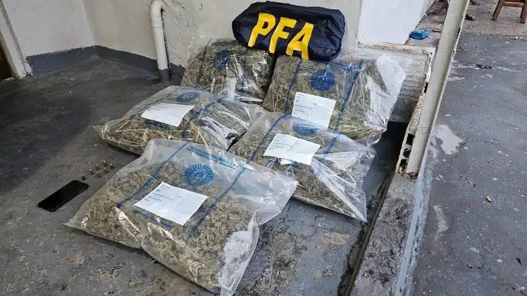 Se decomisaron 9 kilos de marihuana