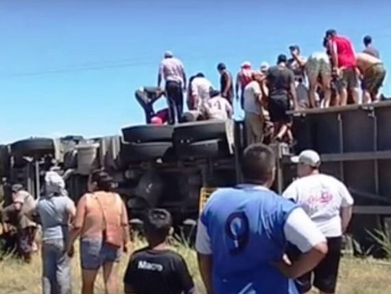 Volcó un camión y los vecinos faenaron unas 70 vacas en la banquina