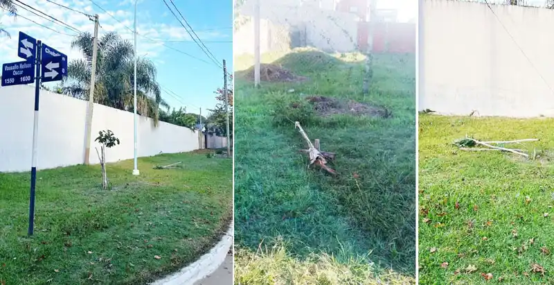 Vandalismo contra el arbolado urbano y cartelería pública