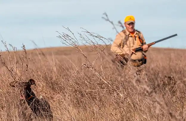 La habilitación de la temporada de caza de aves autóctonas genera rechazo en organizaciones proteccionistas