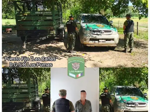 Helvecia: "Los Pumas" realizaron allanamientos por abigeato y estafa en el departamento Garay