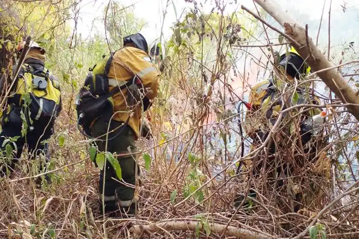 Trabajan intensamente  para combatir los incendios  en la Isla Puente de Paraná