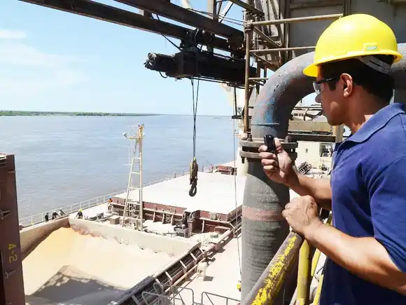 Crecieron 9 % en volumen las exportaciones agroindustriales