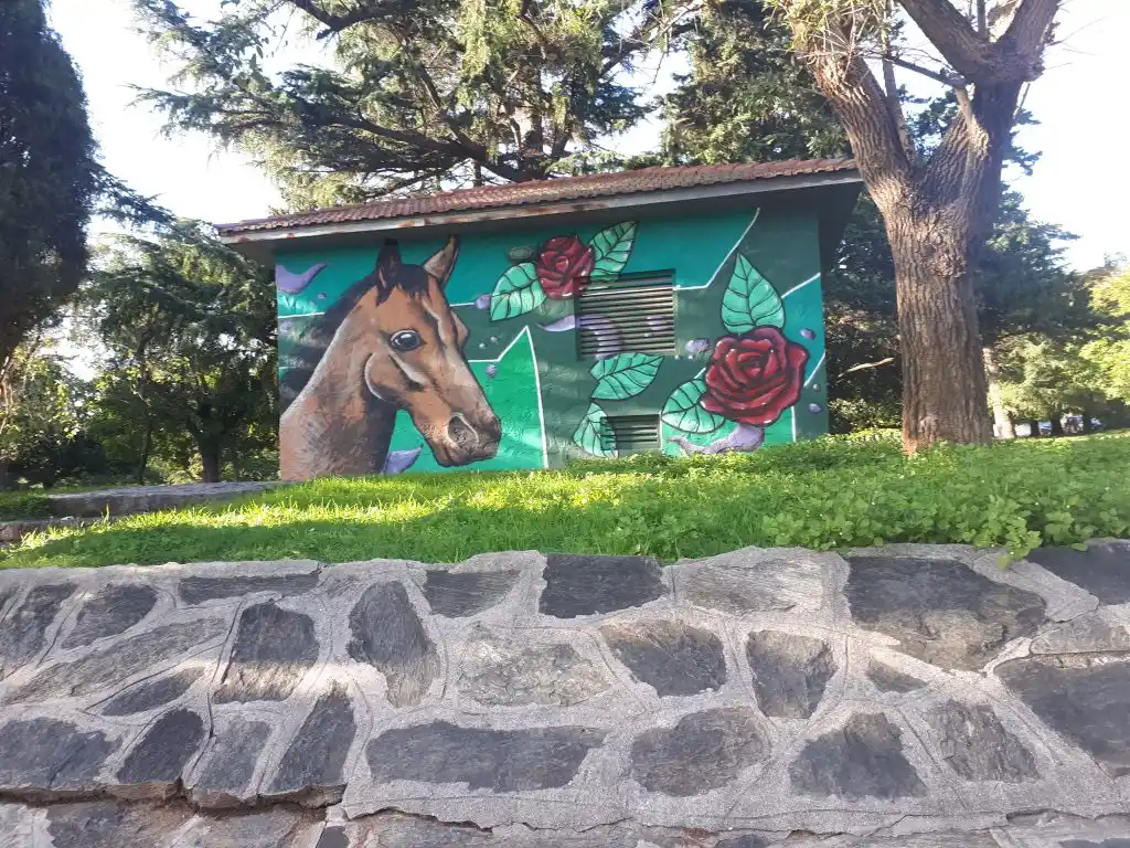 Riesgo en la vía pública